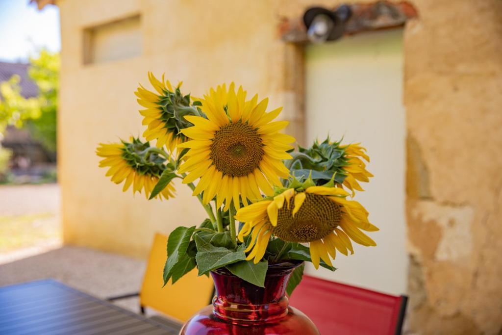 Cezan Domaine De Laplan Bed & Breakfast エクステリア 写真