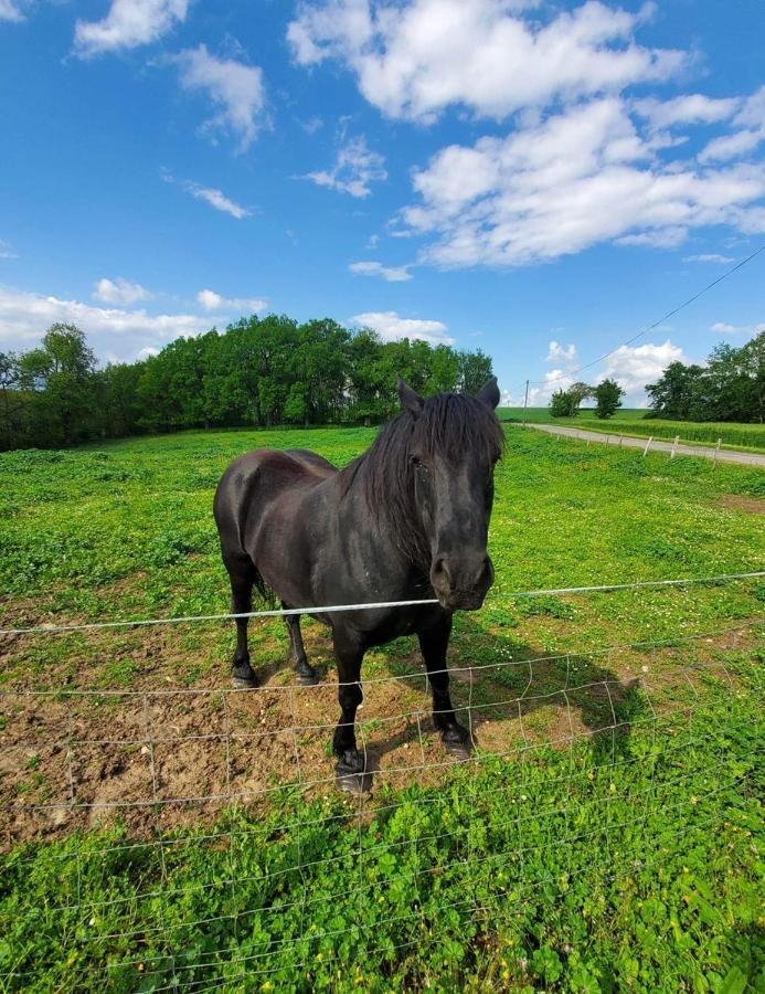 Cezan Domaine De Laplan Bed & Breakfast エクステリア 写真